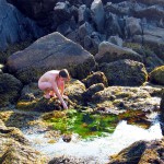 Met-Art Ronin Amateurs Freedom