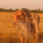 Met-Art Girls Innocence