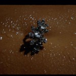 Met-Art Fetish The Obsession For Details