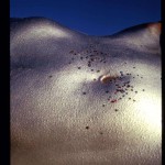 Met-Art Fetish The Obsession For Details