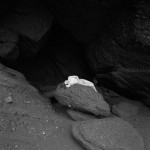 Met-Art Canadian Amateurs Mentis