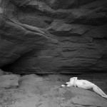 Met-Art Canadian Amateurs Mentis