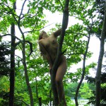 Met-Art Ronin Amateurs Visage