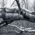 Met-Art Canada Shores