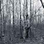 Met-Art Canada Shores