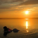 Met-Art Forces Of Nature