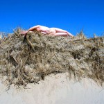 Met-Art Ronin Amateurs Canada