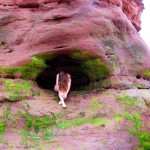 Met-Art Ronin Amateurs Canada