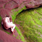 Met-Art Ronin Amateurs Canada