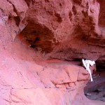 Met-Art Ronin Amateurs Canada