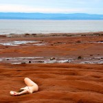 Met-Art Ronin Amateurs Canada