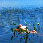 Met-Art Ronin Amateurs Canada