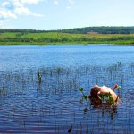 Met-Art Ronin Amateurs Canada