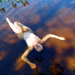 Met-Art Ronin Amateurs Canada