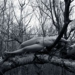 Met-Art Ronin Amateurs Passion