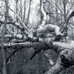 Met-Art Ronin Amateurs Passion