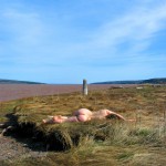 Met-Art Ronin Amateurs Passion