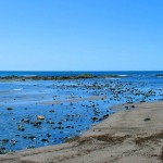 Met-Art Ronin Amateurs Passion