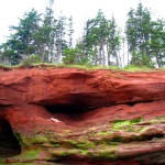 Met-Art Ronin Amateurs Passion