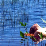 Met-Art Ronin Amateurs Passion