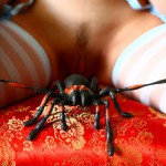 Yuliya Spider Girl