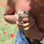 Anastasia Tenderness