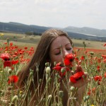 Kesia Red Poppies
