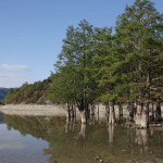 Anna Natasha Land Of Fantasy