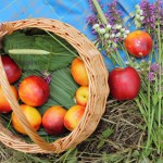 Angelina Summer Walk