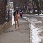 A walk through the park