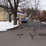 A walk through the park