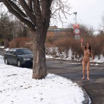 A walk through the park