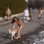 A walk through the park