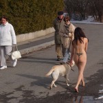 A walk through the park