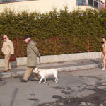 A walk through the park