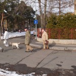 A walk through the park