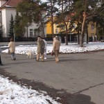 A walk through the park