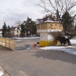 A walk through the park