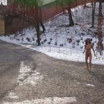 A walk through the park