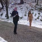 A walk through the park