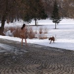 A walk through the park