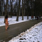 A walk through the park