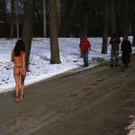 A walk through the park