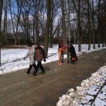 A walk through the park