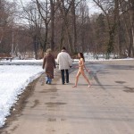 A walk through the park