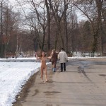 A walk through the park