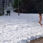 A walk through the park