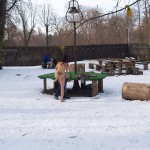 A walk through the park