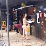 A walk through the park