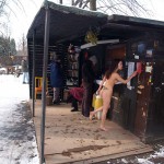 A walk through the park